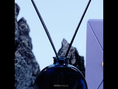 Vintage elegante Dekoration Glasflasche Reed Diffusor 100 ml mit Stäbchen Geschenkbox