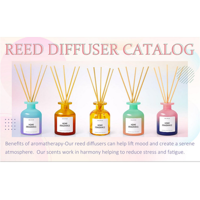 Buntes selbst gemachtes Reed Diffuser Sea Salt-Aroma des ätherischen Öls 120ml