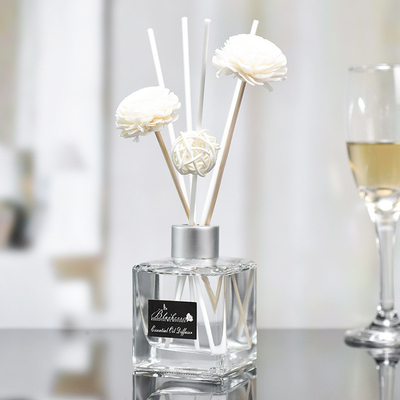 Glaskleines Aroma Reed Diffuser And Oil 50ml der flaschen-DPMA