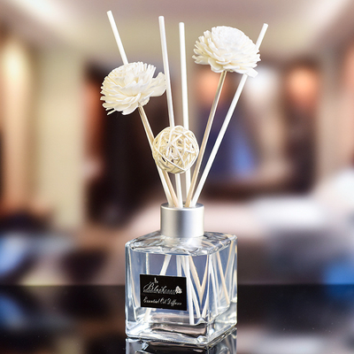 Glaskleines Aroma Reed Diffuser And Oil 50ml der flaschen-DPMA