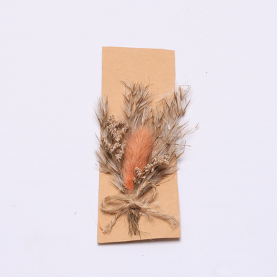 Buntes natürliches getrocknetes Gras Pampas 43*15cm für Geschenk-Satz