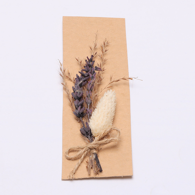 Buntes natürliches getrocknetes Gras Pampas 43*15cm für Geschenk-Satz