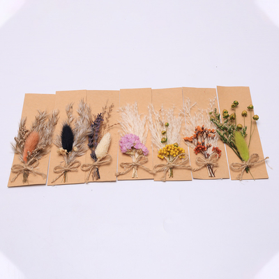 Bunte Pampasgras-Anordnung künstliche 43*15cm