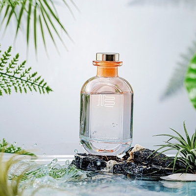 Benutzerdefinierte Glasflasche Ätherisches Öl Aromatherapie Stick Klar Haushalt Reed Diffusor