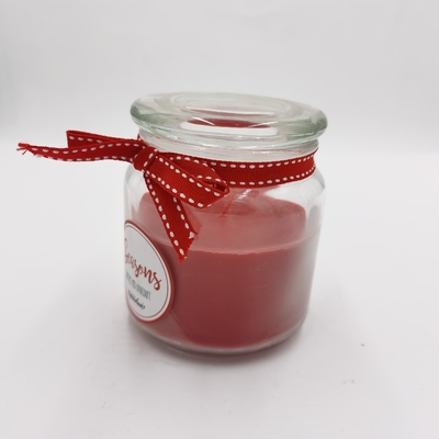 Personifiziertes rotes Paraffinwachs-wesentliches Kerzen-Licht-Glas Mason For Christmas