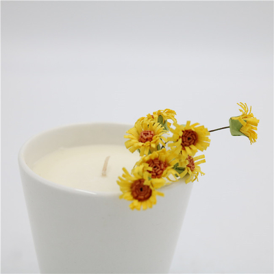 Aroma-Ausgangstee-Schalen-keramisches Sojabohnenöl Kerze gerochener Matte White 7oz